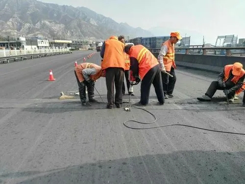 新巴尔虎左道路桥梁病害治理